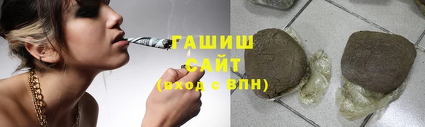 гашик Белокуриха