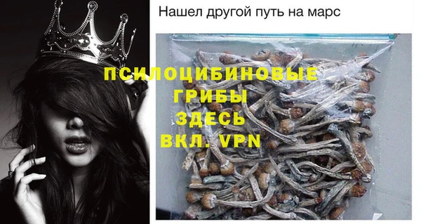 гашик Белокуриха