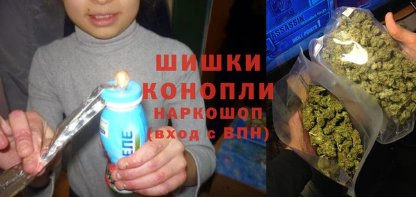 гашик Белокуриха