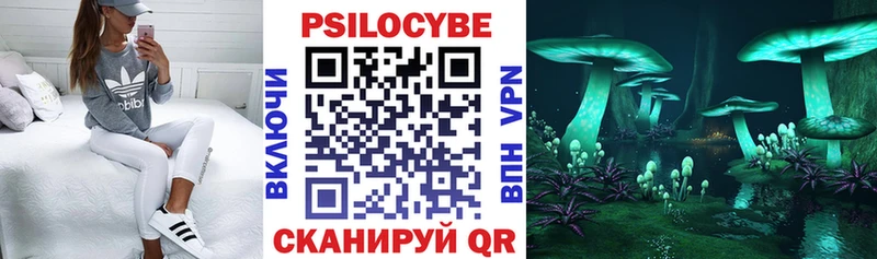 даркнет Telegram  продажа наркотиков  Елизово  Псилоцибиновые грибы прущие грибы 